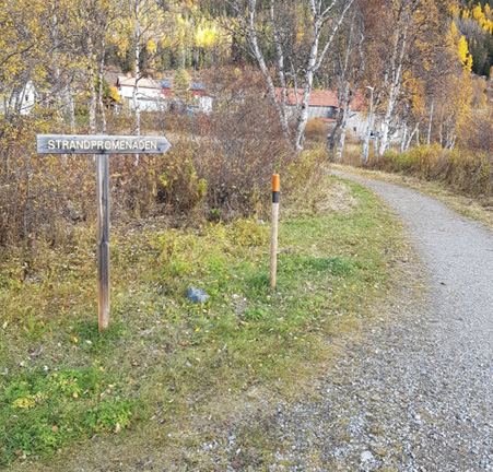 Bild på en smal grusväg med lite buskar.