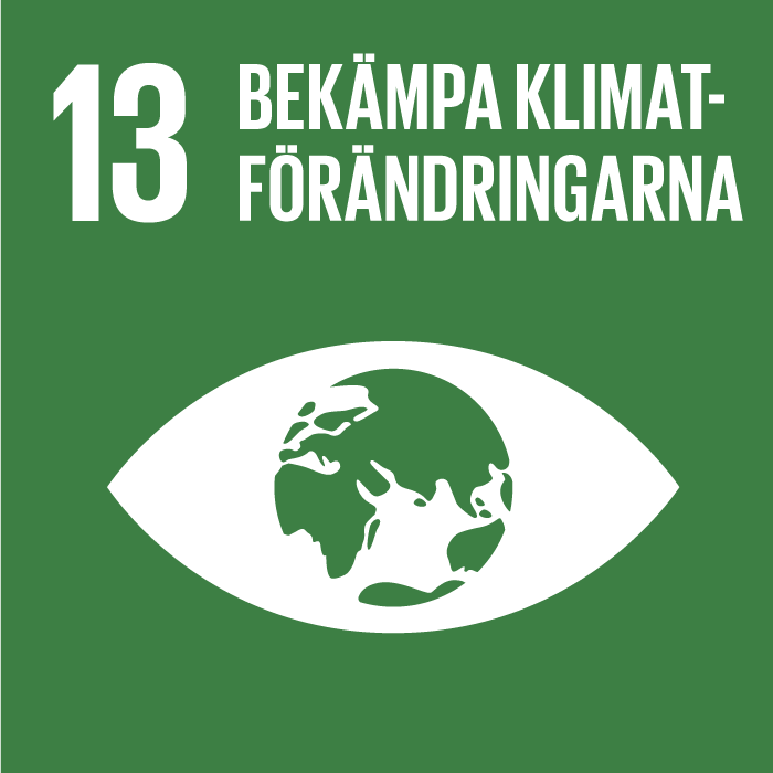 Ikon för FN:s Agenda 2030-mål 13 Bekämpa klimatförändringarna. Bilden visar ett öga med ett jordklot som iris och pupill. 