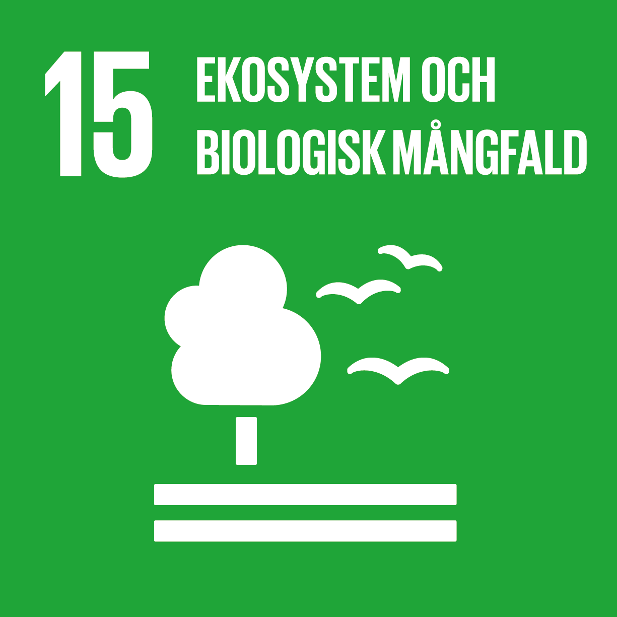 Ikon för FN:s Agenda 2030-mål 15: Ekosystem och biologisk mångfald. Bilden visar ett träd som växer upp ur marken, med fåglar flygandes bredvid lövkronan.