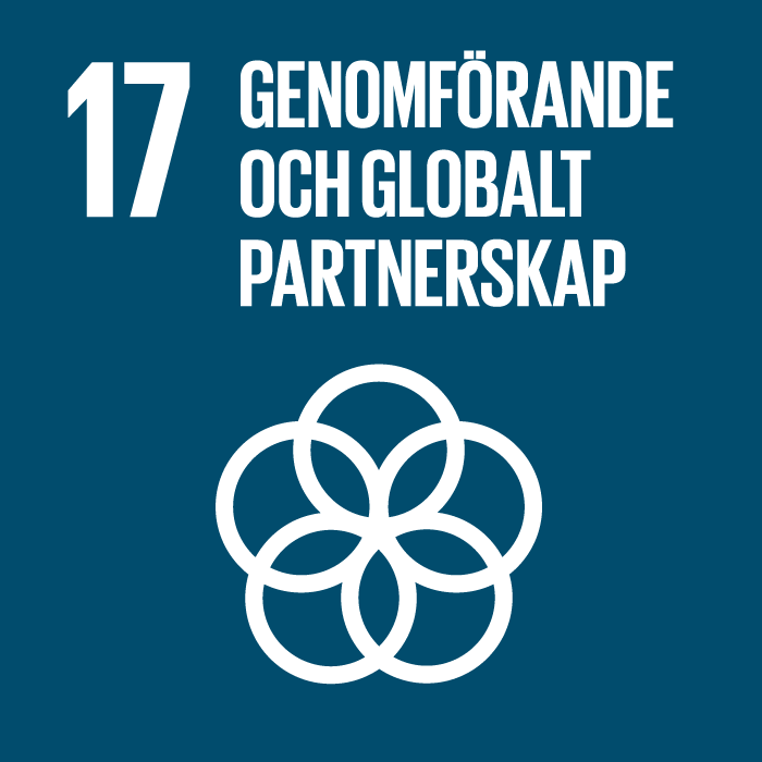 Ikon för FN:s Agenda 2030-mål 17: genomförande och globalt partnerskap. Bilden visar fem cirklar som sitter ihop i en symmetrisk form, likt blomblad.