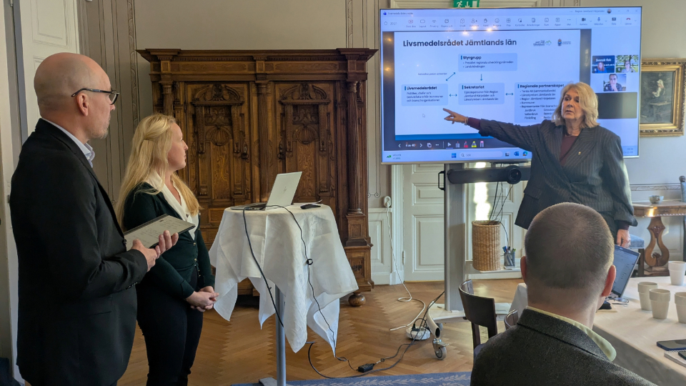 En person står och pekar på en storbildskärm i ett mötesrum. Tre andra personer tittar mot storbildsskärmen.