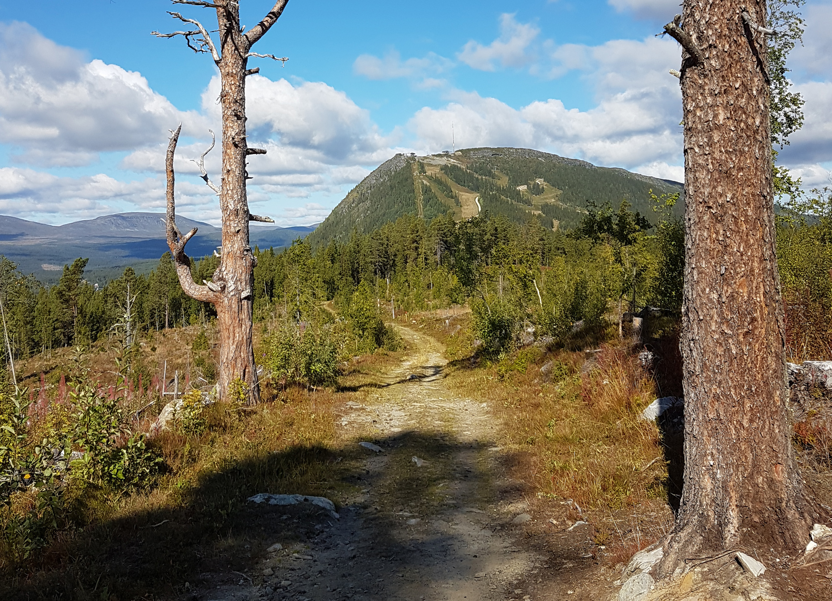 Bild på en högt belägen stig med ett stort berg i bakgrunden.