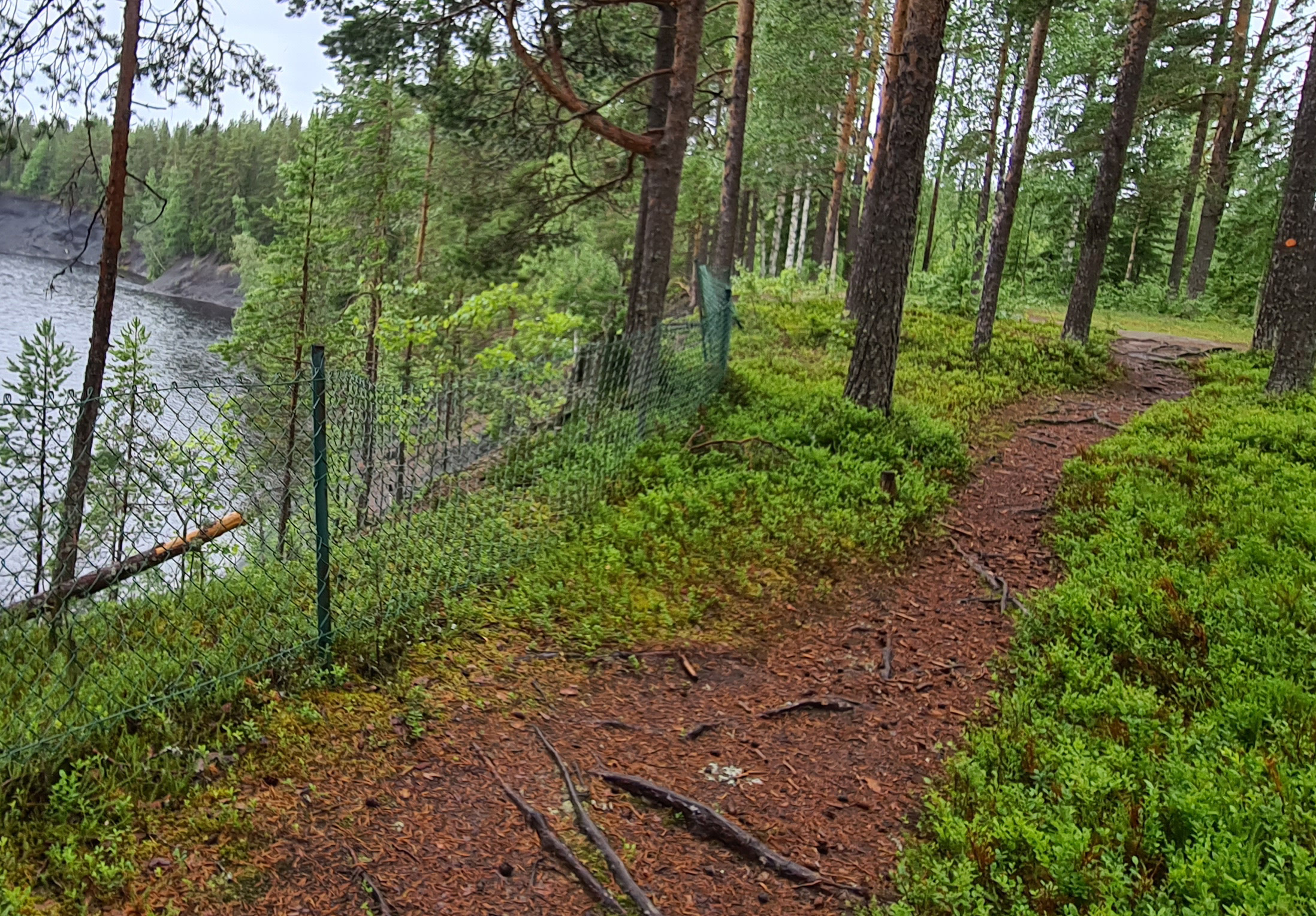 En människa som står på ett fält och jonglerar med tre bollar.