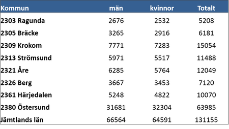 Befolkning 2019 kommun