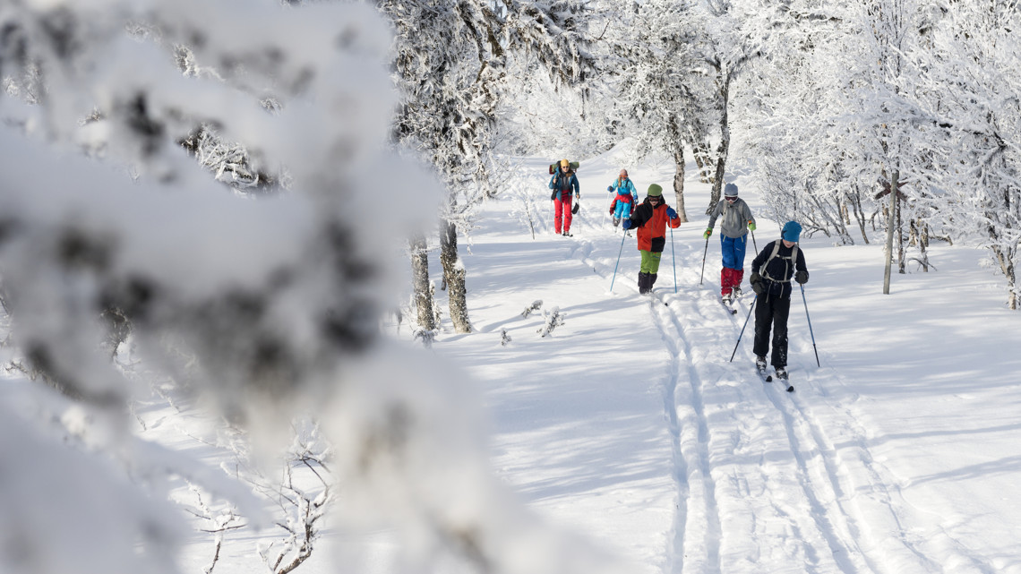 Två skolungdomar pratar och ler sittandes på en buss.