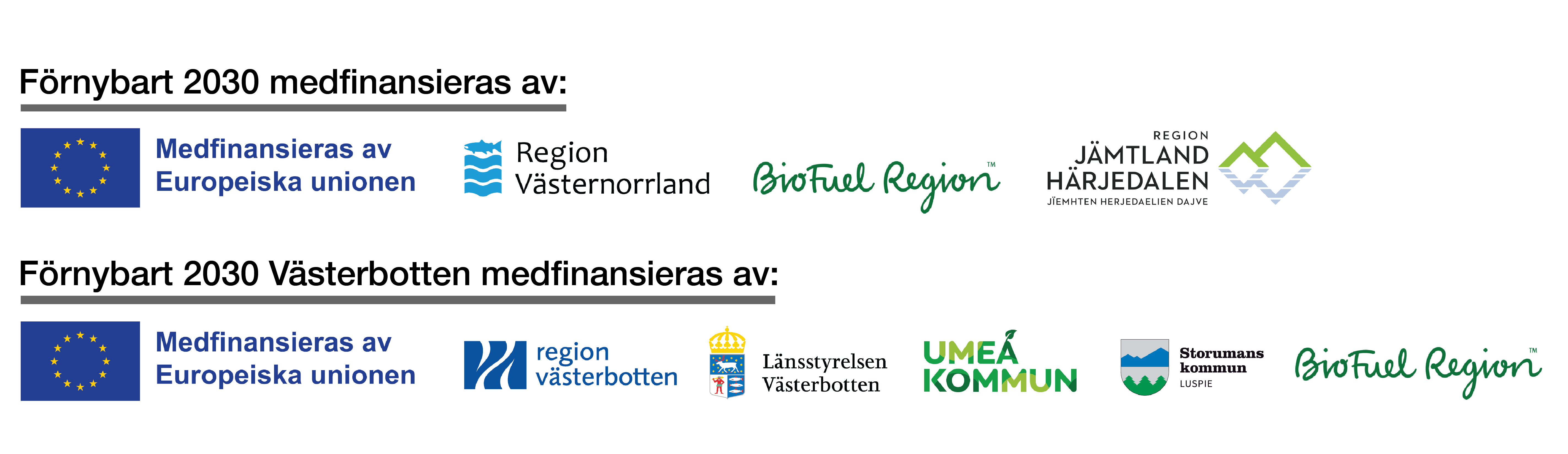 Träffen samarrangeras av projekten Förnybart 2030 och Förnybart 2030 Västerbotten. Förnybart 2030 drivs av Energikontoret Jämtland Härjedalen, Region Jämtland Härjedalen, BioFuel Region och Energikontoret Västernorrland. Det finansieras av EU:s regionalfond, Region Jämtland Härjedalen, Region Västernorrland och BioFuel Region.Förnybart 2030 Västerbotten drivs av BioFuel Region, Umeå kommun och Storumans kommun kommun. Projektet finansieras av dessa tre parter tillsammans med EU:s regionalfond