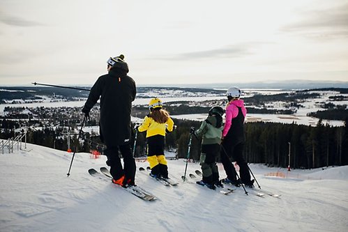 Familj i skidbacken