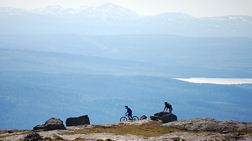Två cyklister ute på fjället.